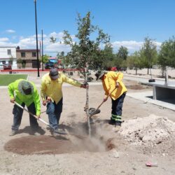 Equipo de ‘Aquí Andamos’ interviene plaza pública en Mirasierra2