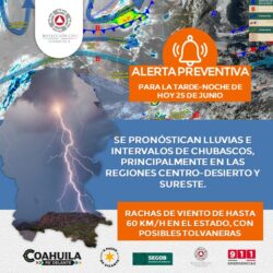 Imagen de WhatsApp 2025-06-25 a las 13.17.24_4e3d8f1a