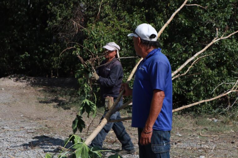 Interviene Aquí Andamos todos los sectores de Saltillo