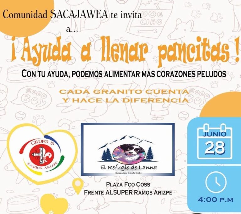 Invitan a jornada solidaria para colecta de alimento para perros y gatos en Ramos Arizpe