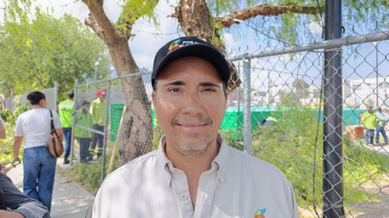 La Organización de las Naciones Unidas establece que por cada habitante se debe contar con un perímetro de al menos nueve metros cuadrados de arbolado