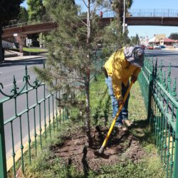 Mejoran brigadas de Aquí Andamos movilidad en Saltillo