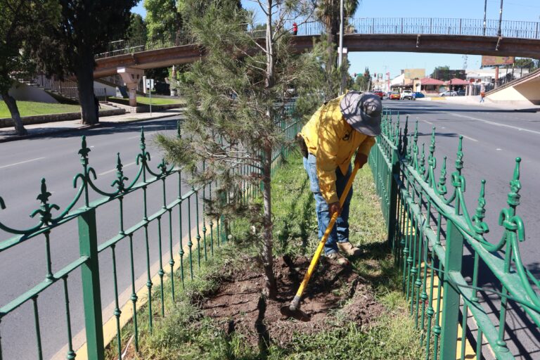 Mejoran brigadas de Aquí Andamos movilidad en Saltillo