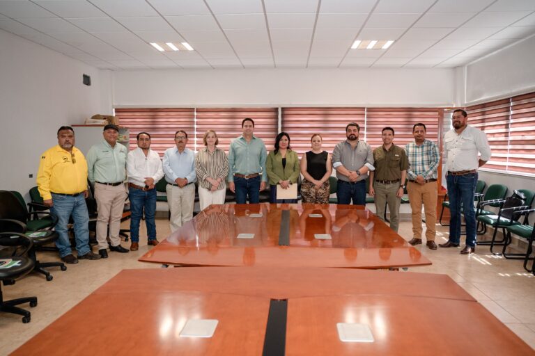 Se suma Saltillo a tareas de saneamiento forestal