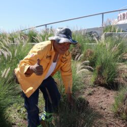 Trabajamos todos los días para ofrecer una mejor ciudad5