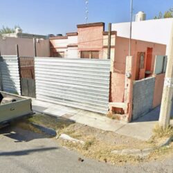 Verificarán autoridades presunto criadero de perros para peleas clandestinas en Ramos Arizpe