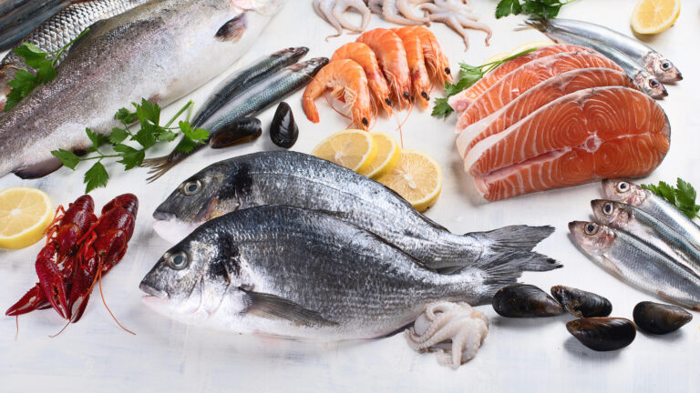 Alimentos marinos, alternativa para reducir el impacto ambiental: especialistas