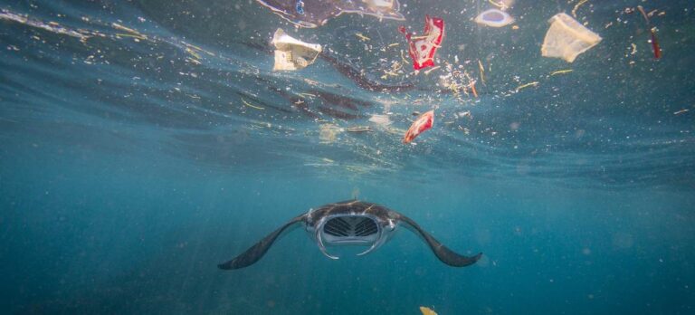 Guterres pide el fin del “saqueo” de los océanos en la apertura de la cumbre de la ONU en Francia