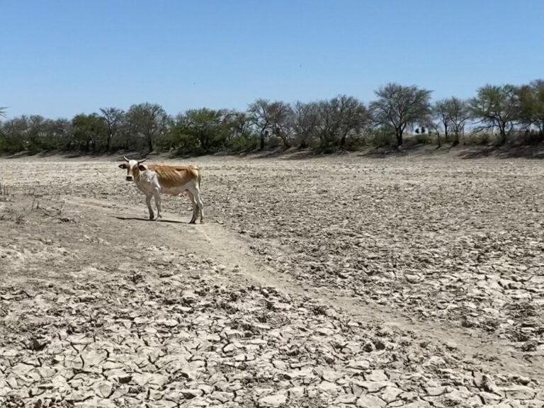 Acumula México 20 años de sequía