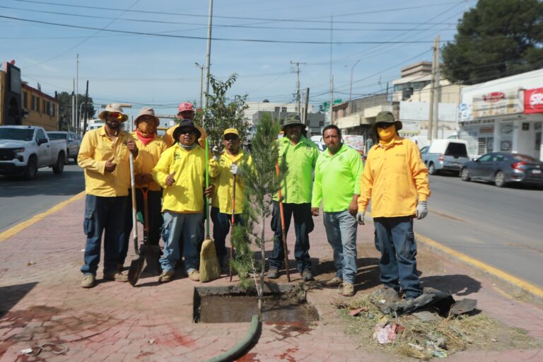 Reforesta Gobierno de Saltillo bulevar Isidro López Zertuche