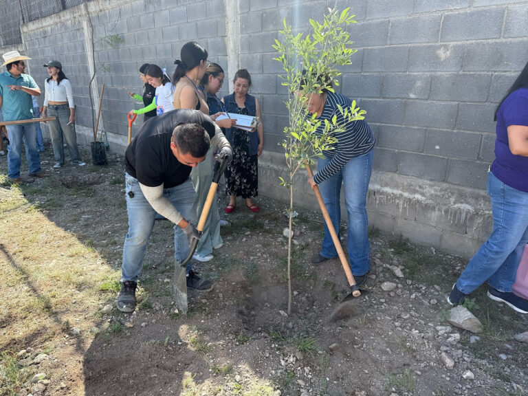 Reforestan UA de C y SEDENA la Facultad de Ciencias de la Comunicación