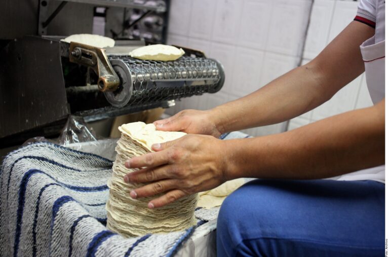 Ven difícil congelar precio de la tortilla