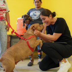 0fb3c992-457f-4932-a491-9b37b516c805