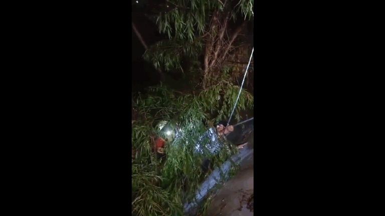 Rescatan a dos hombres atrapados en arroyo detrás de Aqua Ramos