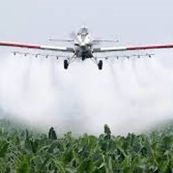 Efectos tóxicos en el cerebro de animales, por plaguicidas en la agricultura