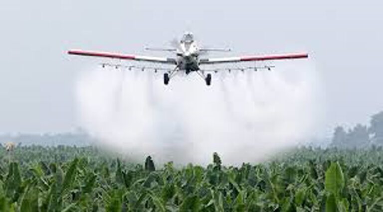 Efectos tóxicos en el cerebro de animales, por plaguicidas en la agricultura