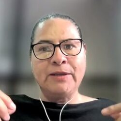 Efectos tóxicos en el cerebro de animales, por plaguicidas en la agricultura1