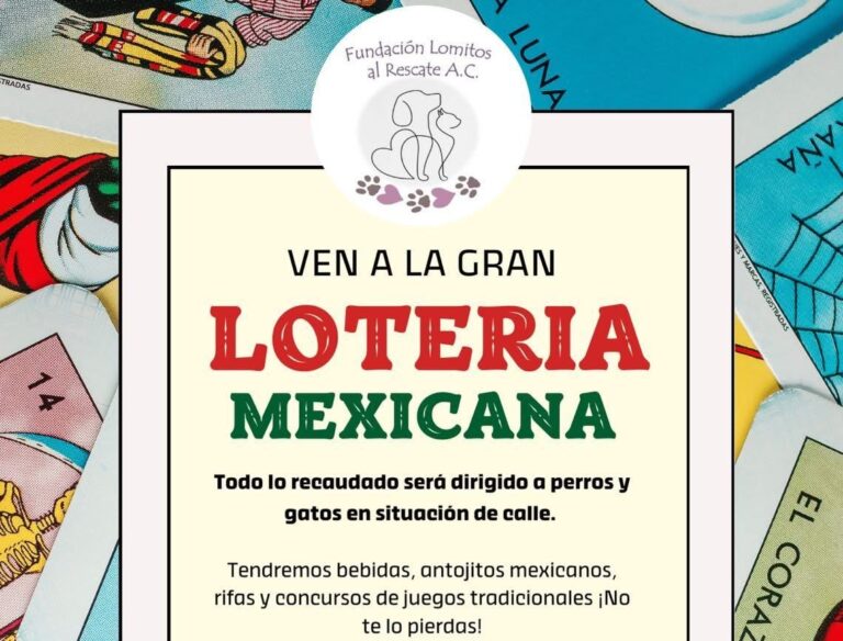 Invita Lomitos al Rescate de Saltillo a sumarse a lotería con causa en apoyo a animales en situación de calle