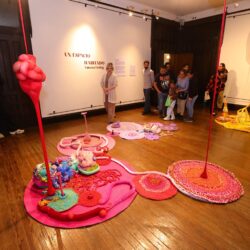 Llega el FINA 448 al área rural de Saltillo; la cultura en todos los rincones6