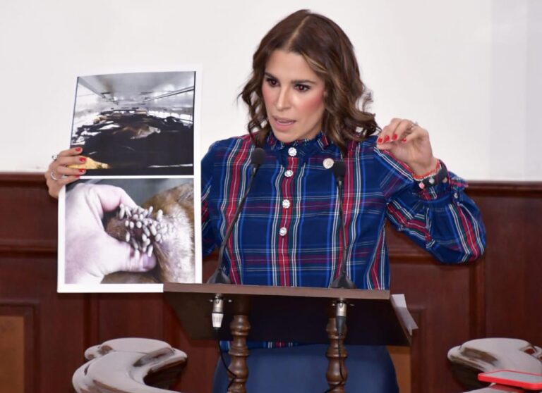 Reconoce diputada Claudia Aldrete suma de esfuerzos para la reapertura de la frontera para exportación de ganado