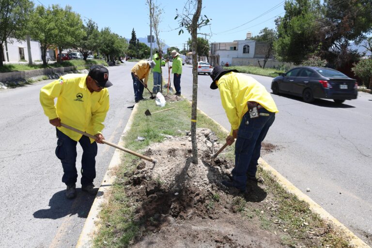 Refuerza Javier Díaz acciones de reforestación en la ciudad