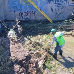 Trabaja gobierno de Javier Díaz en la limpieza de arroyo Ceballos3