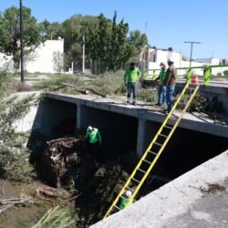 Trabajan brigadas de Saltillo en arroyos y vialidades de la ciudad