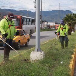 Trabajan brigadas del alcalde Javier Díaz por todo Saltillo