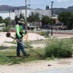 Trabajan brigadas del alcalde Javier Díaz por todo Saltillo2