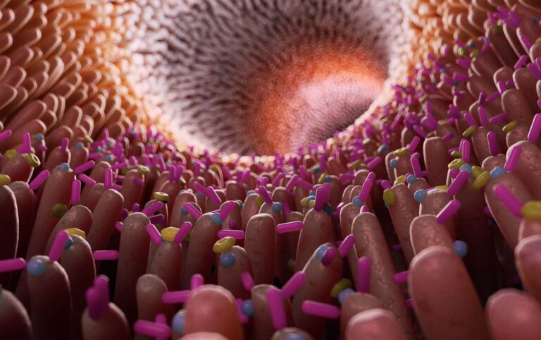 UNAM estudia bacterias del intestino que podrían resistir antibióticos 