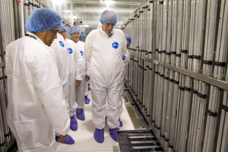 Arranca Agricultura nueva planta de producción de moscas estériles del gusano barrenador