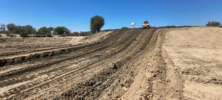 Benefician lluvias al campo saltillense