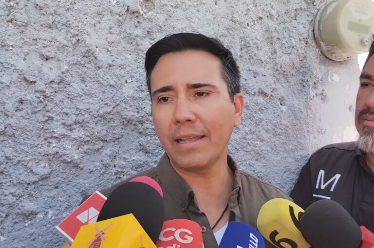 Buscan saltillenses deshacerse de árboles pese a daño ambiental