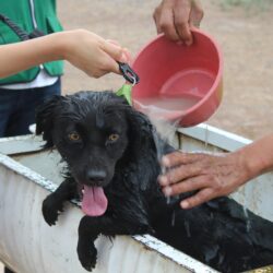 c162b687-1e99-445d-a724-4a44d23cebaf