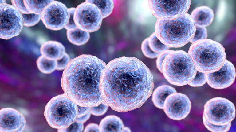 Células madre podrían eliminar uso de inmunosupresores tras trasplante