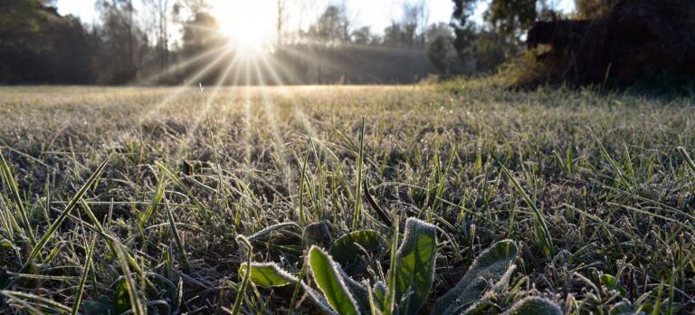 Chile y Argentina, entre los lugares más fríos de la Tierra por el anticiclón polar que azota la región