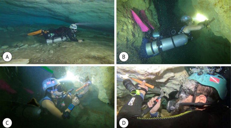 Descubren ejemplares fósiles de animales marinos, en la península de Yucatán