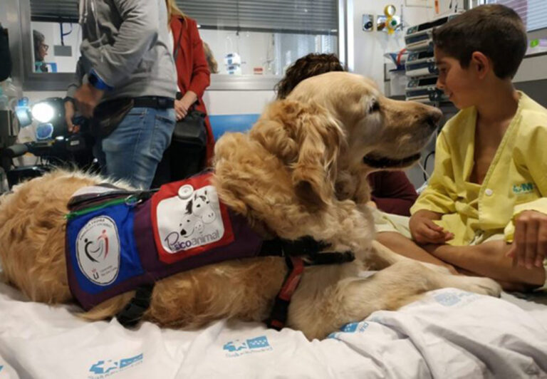 Hay perros optimistas y perros pesimistas: académica de la UNAM