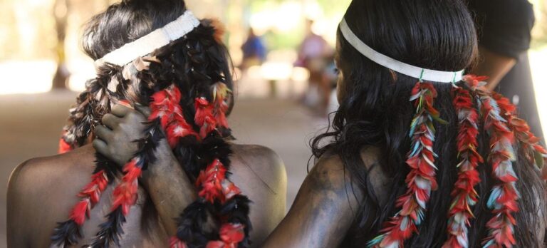 La inteligencia artificial se utiliza a menudo para rastrear a activistas indígenas