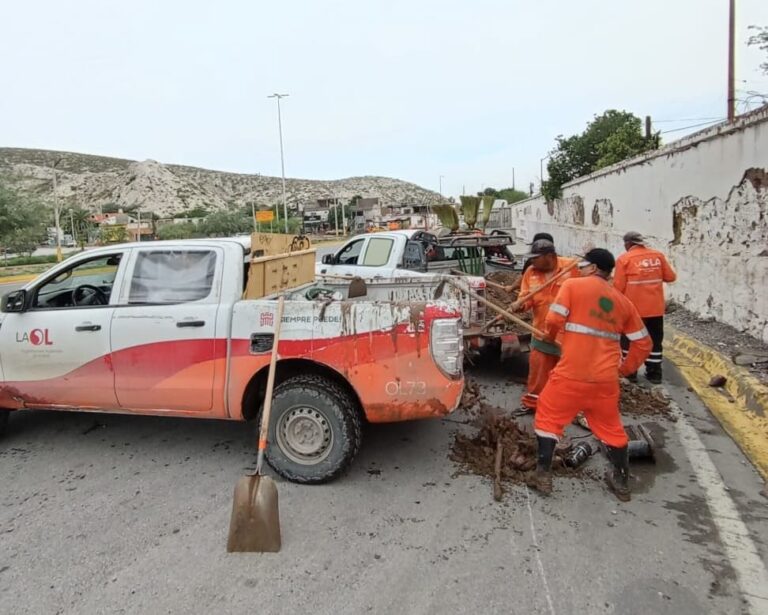 Recolección de basura en Torreón no se detiene pese a lluvias; refuerzan acciones de limpieza urbana