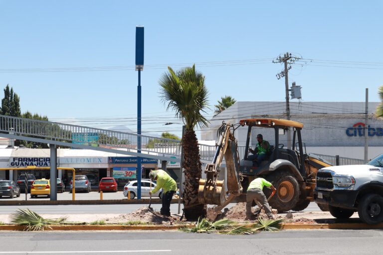 Reforesta Gobierno de Saltillo bulevar Nazario S. Ortiz