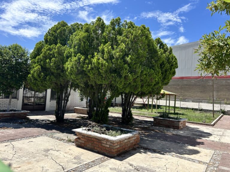 Rotarios de Ramos Arizpe impulsan proyecto de palapa para eventos comunitarios