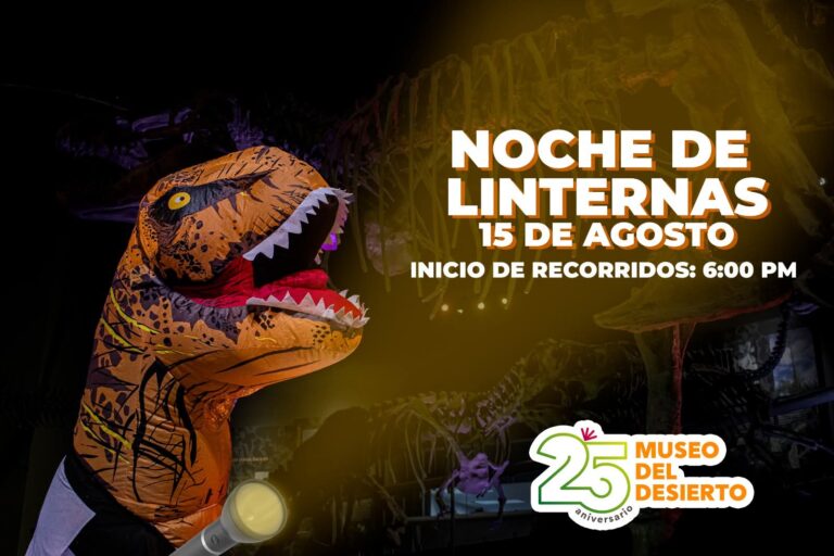 Será este 15 de agosto la “Noche de Linternas” en el MUDE 
