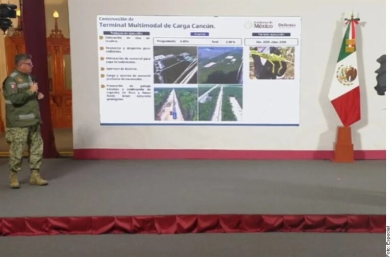 Siguen tala y despalme, ahora por Tren Maya de carga