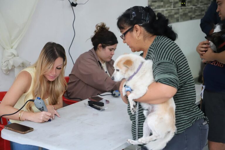 Alista regidora Amal Esper campañas de prevención de la ricketssia en Saltillo