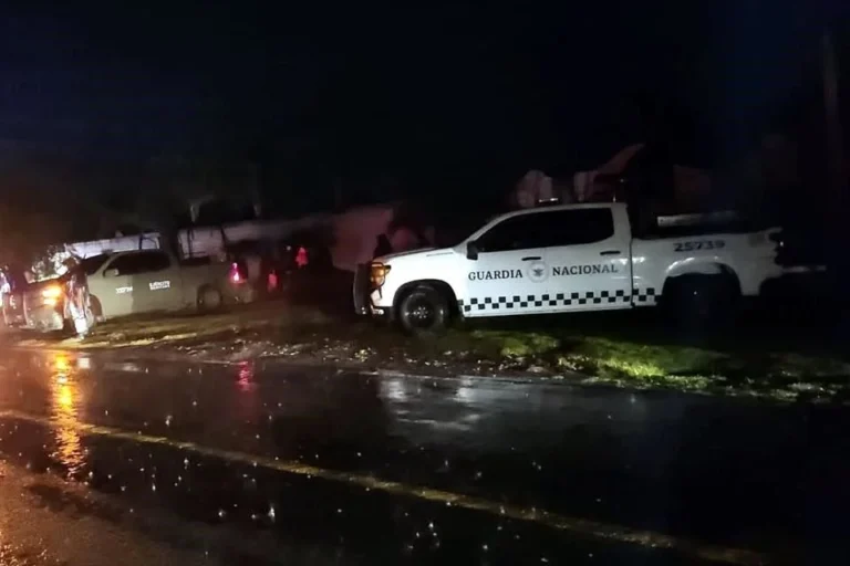 Asesina comando a familia en Guanajuato