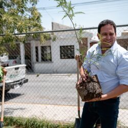 Avanza reforestación de espacios públicos en Saltillo