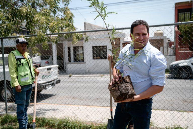 Avanza reforestación de espacios públicos en Saltillo: Javier Díaz