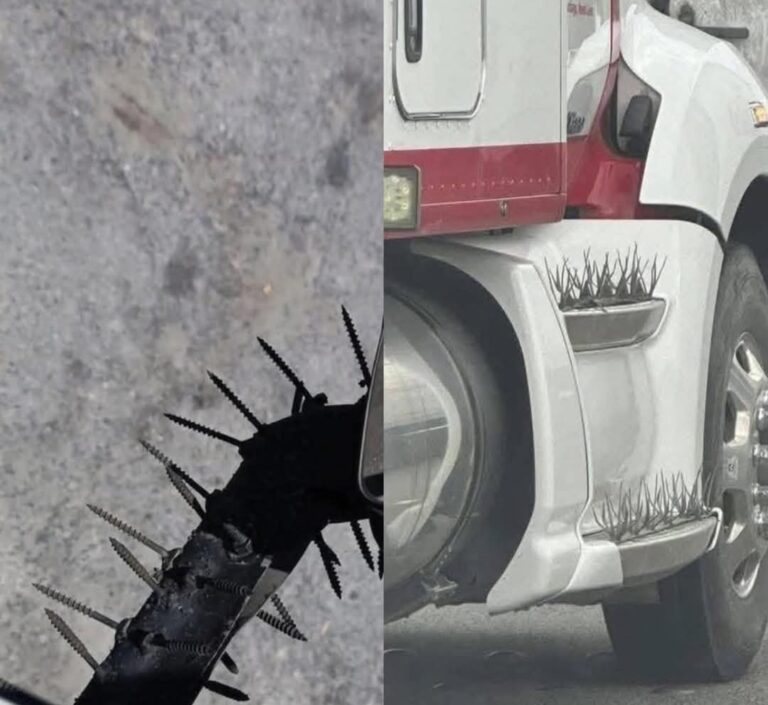 Blindan traileros sus unidades con púas y afiladas puntas ante la falta de acción en carreteras federales