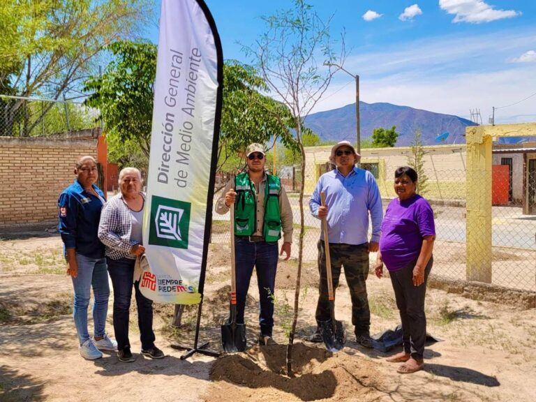 Con 314 árboles, reforestan la Sierra y Cañón de Jimulco